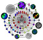 A designer’s toolkit for constructing complex nanoparticles