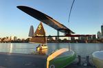 Albatross robot takes flight