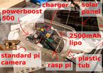 counting bees on a rasp pi with a conv net