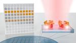 A nanotech sensor turns molecular fingerprints into bar codes