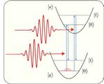 Control of quantum state of optical phonon in diamond induced by ultrashort light pulses