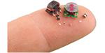 Developing Microrobotics for Disaster Recovery and High-Risk Environments