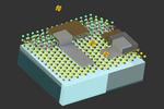Cell-sized robots can sense their environment