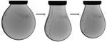 Scientists ‘Squeeze’ Nanocrystals in a Liquid Droplet Into a Solid-Like State - and Back Again