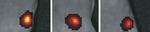 Light-Emitting Nanoparticles Could Provide a Safer Way to Image Living Cells