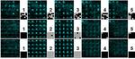 Could a ‘demon’ help to create a quantum computer?
