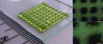 3D bioprinting of living structures with built-in chemical sensors