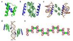 Scientists Make New ‘Green’ Electronic Polymer-Based Films with Protein ...