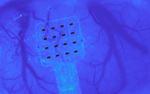 Graphene sensors can hear your brain whisper