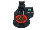 Automatic dispenser for cats