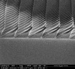 Firefly-inspired surfaces improve efficiency of LED lightbulbs