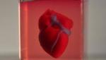 TAU Scientists Print First 3D Heart Using Patient’s Own Cells and Materials