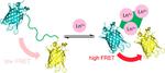 New sensor detects rare metals used in smartphones