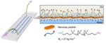 Bridge Over Coupled Waters: Scientists 3D-Print All-Liquid ‘Lab on a Chip’