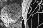 New polymer films conduct heat instead of trapping it