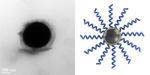 Carnegie Mellon Researchers Create Soft, Flexible Materials with Enhanced Properties