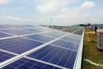 Lowering emissions without breaking the bank