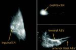 A single-photon source you can make at home