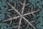 Scientists discover fractal patterns in a quantum material