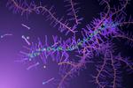 New synthesis method yields degradable polymers
