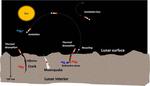 Detection of Argon-40 in the lunar exosphere