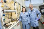 Go With the Flow: Scientists Design Better Batteries for a Renewable Energy Grid