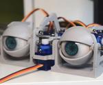 Simplified 3D Printed Animatronic Dual Eye Mechanism