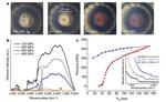 Metallic hydrogen reveals itself under mounting pressure