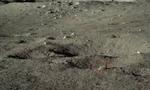 What’s up with that rock? China’s moon rover finds something strange on the far side