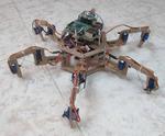 The Hexapod Robot (Spider Robot With Six Legs) Made From Wood
