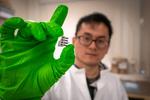 Quantum phenomenon governs organic solar cells