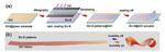 Graphene-based actuator swarm enables programmable deformation