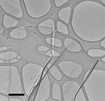 Liquid Metal Synthesis For Better Piezoelectrics: Atomically-thin Tin-monosulfide