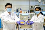 NTU Singapore scientists use fruit peel to turn old batteries into new