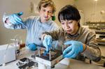 LiU researchers first to develop an organic battery