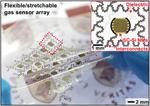 Implantable sensor could measure bodily functions — and then safely biodegrade