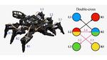 ‘Chaotic’ Way to Create Insectlike Gaits for Robots