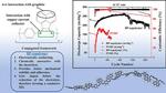 Built to Last: New Copolymer Binder to Extend the Life of Lithium Ion Batteries