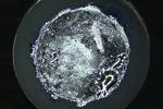 How to prevent short-circuiting in next-gen lithium batteries