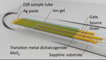 Spin-states in MoS2 thin-film transistors distinguished by operando electron spin resonance