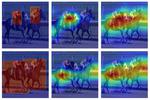 Researchers at U of T and LG develop ‘explainable’ artificial intelligence algorithm