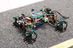 Robot lizard can quickly climb a wall just like the real thing