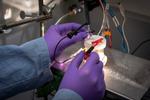 This Hydrogen Fuel Machine Could Be the Ultimate Guide to Self-Improvement