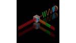 Boosting Fiber Optics Communications with Advanced Quantum-Enhanced Receiver
