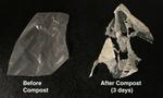 New process breaks down biodegradable plastics faster