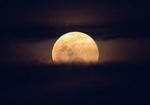 The Next Full Moon Is a “Supermoon” Pink Moon