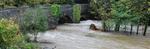 Developing a new AI early warning system for flooding