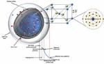 Online ‘library of properties’ helps to create safer nanomaterials