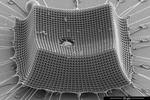Ultralight material withstands supersonic microparticle impacts