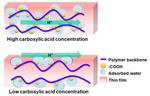 Proton’s Travel Route in Polymers Could Lead the Way to Clean Fuels